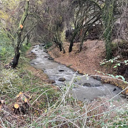 Apartamento Junto Al Río En Entrada Ruta Cahorros Monachil